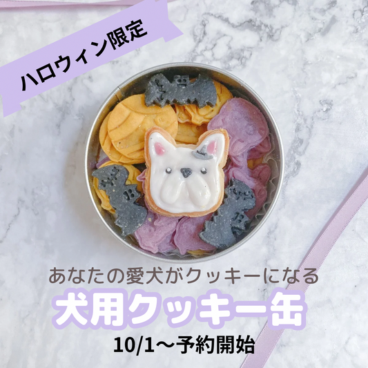 犬用クッキー缶ハロウィン