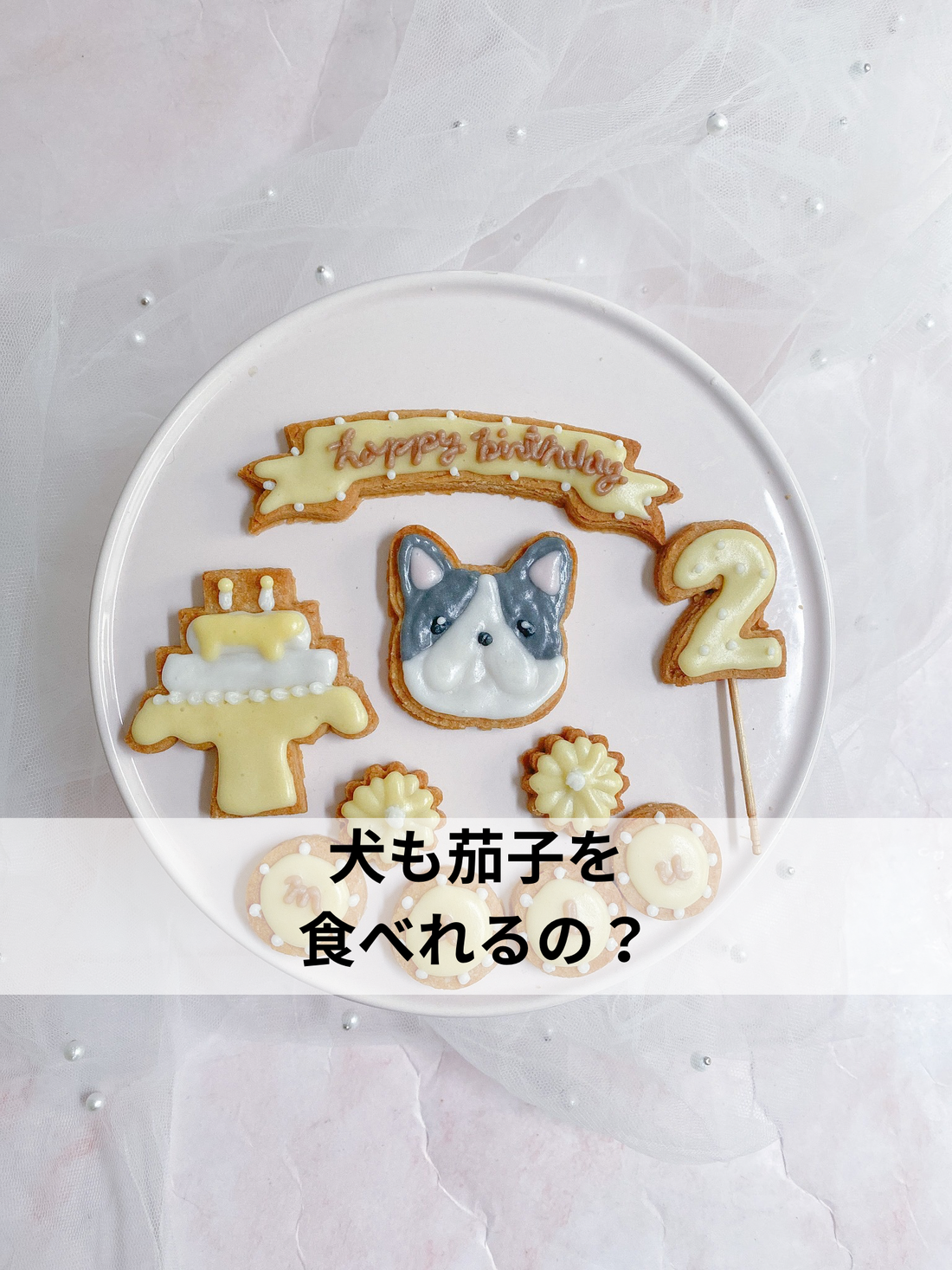 犬も茄子を食べて良い？