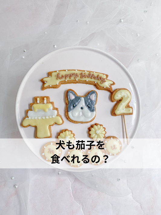 犬も茄子を食べて良い？