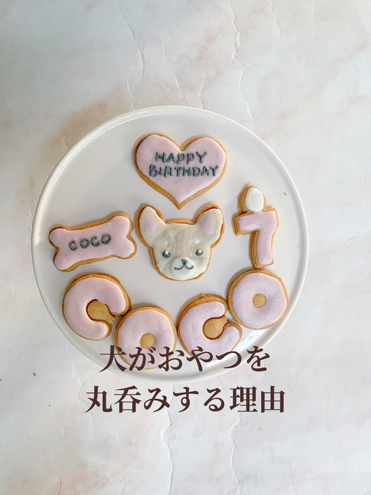 犬がおやつを丸呑みする理由