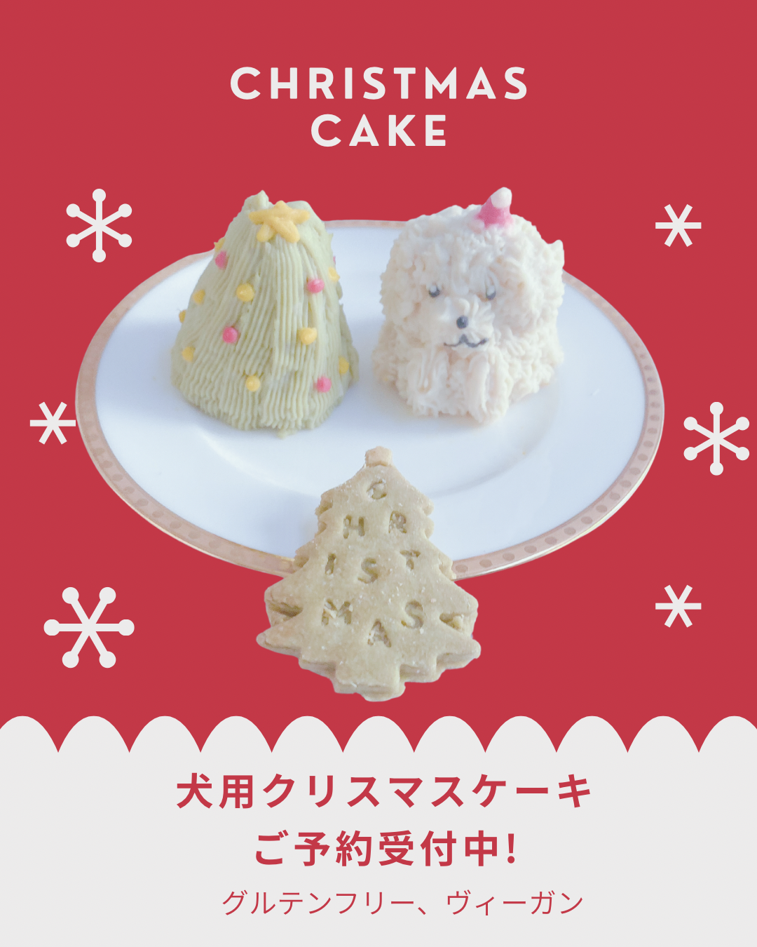 犬用クリスマスケーキご予約開始
