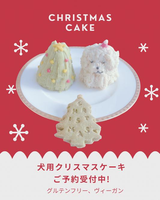 犬用クリスマスケーキご予約開始