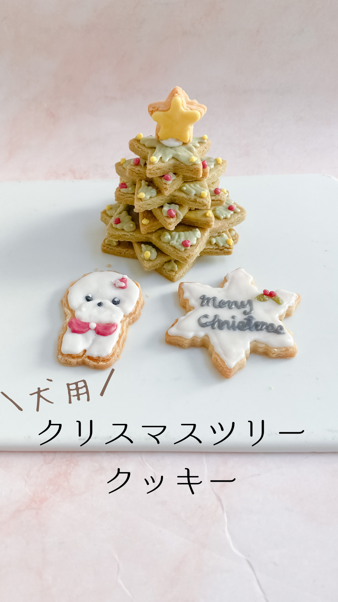 新商品　犬用クリスマスツリークッキー