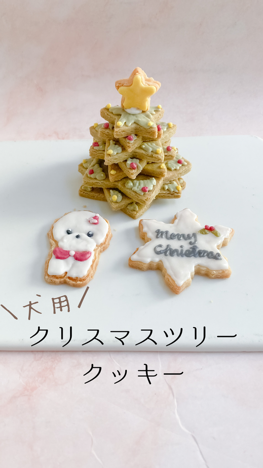 新商品　犬用クリスマスツリークッキー