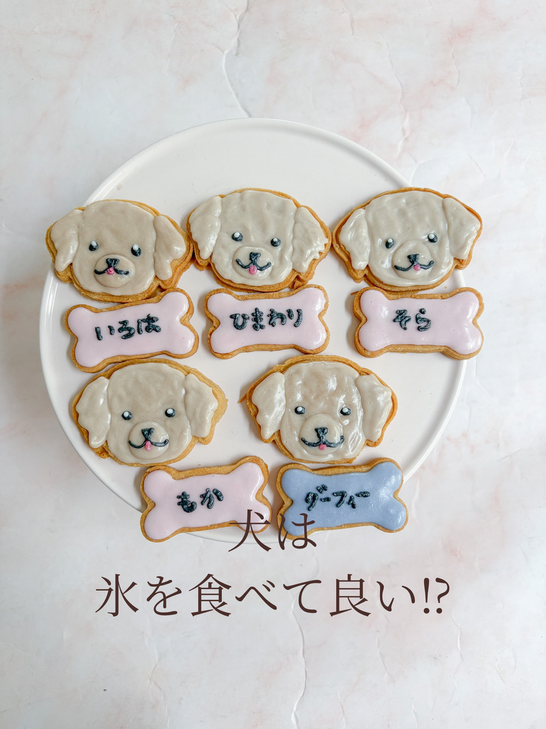 犬に氷ってあげても良い？