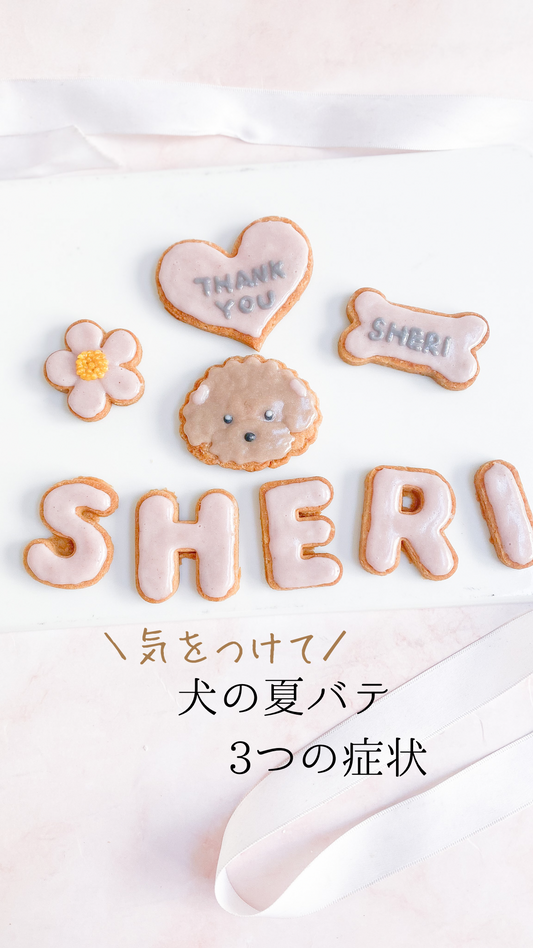 気をつけて！犬の夏バテ3つの症状