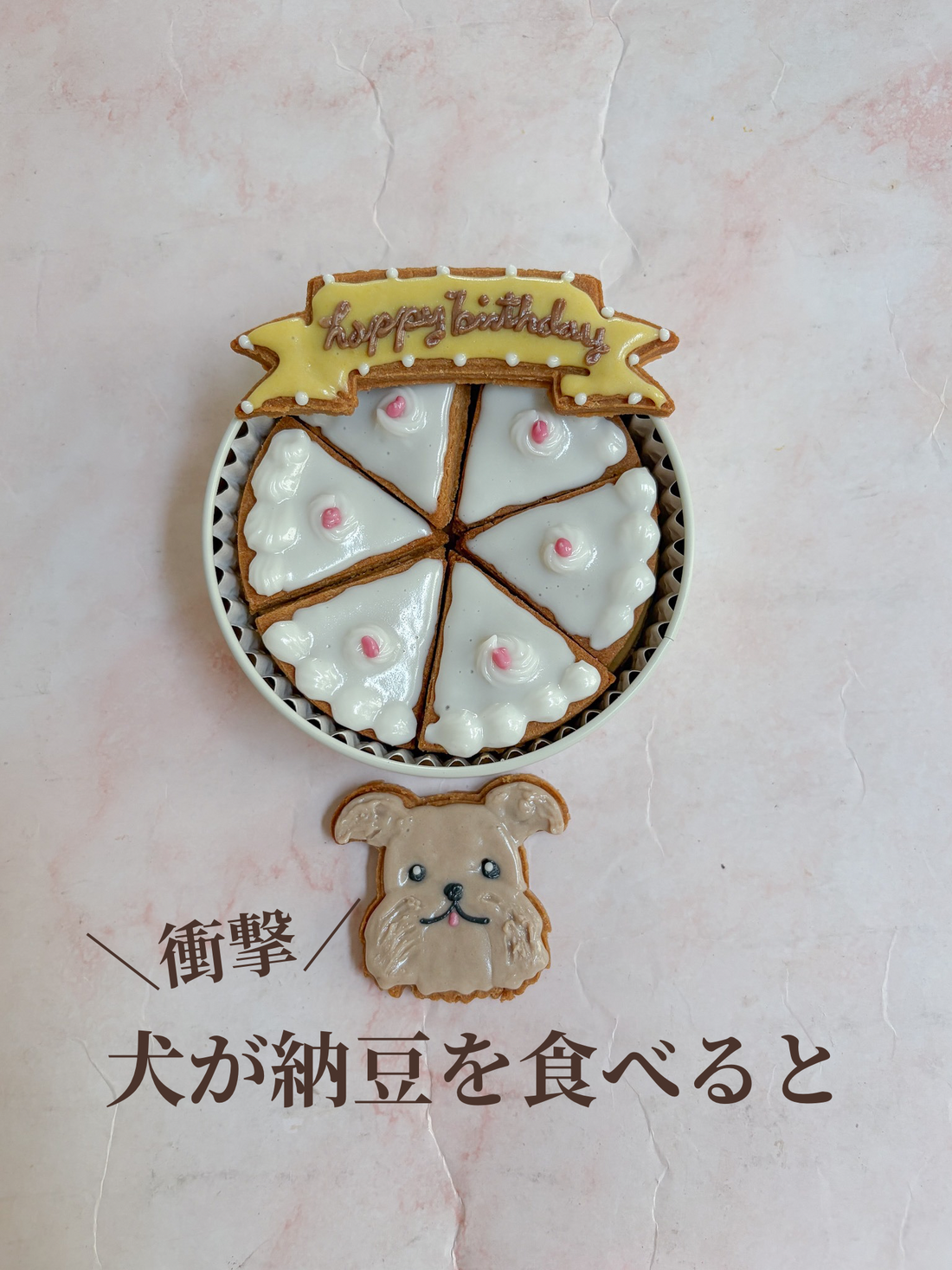 犬が納豆を食べると、、、