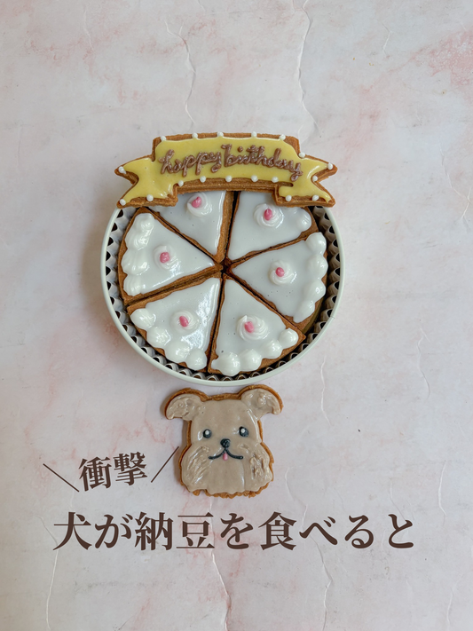 犬が納豆を食べると、、、