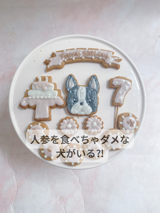 人参が合わない犬もいるんです