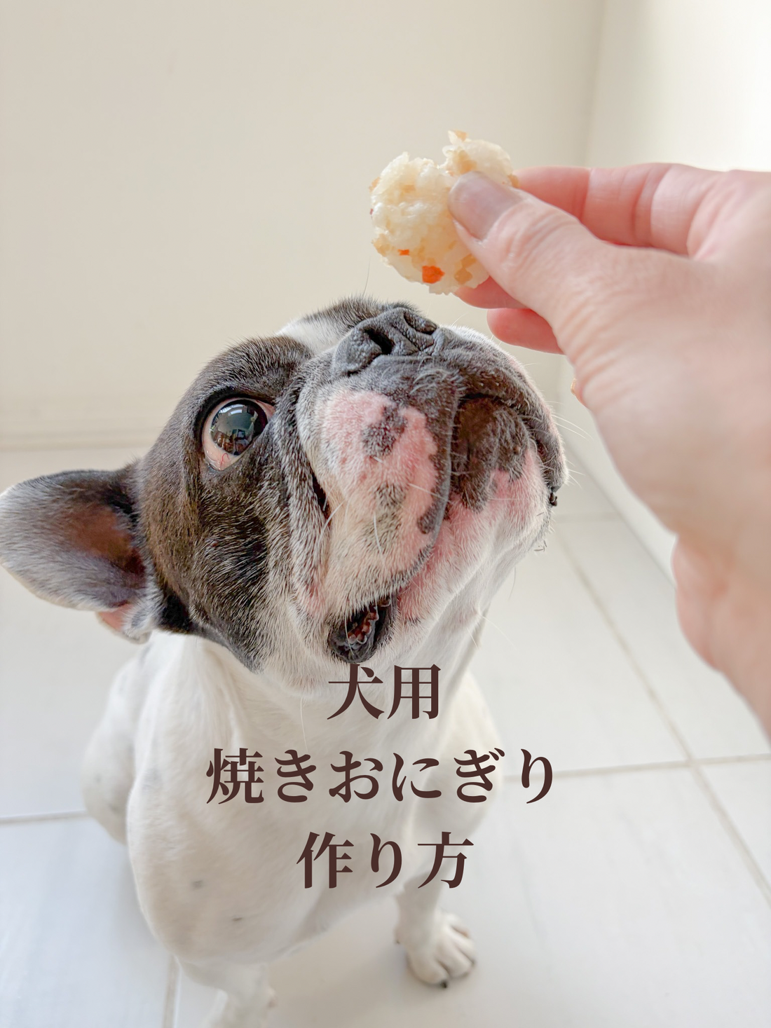 犬用焼きおにぎりの作り方