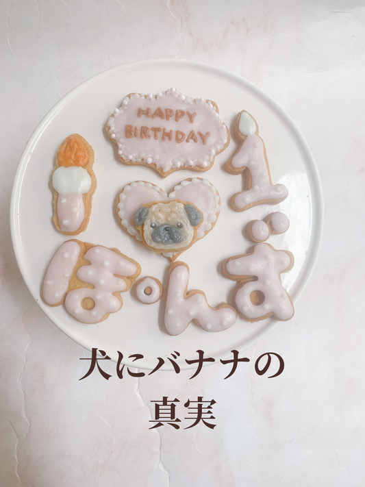 犬にバナナって良いの？