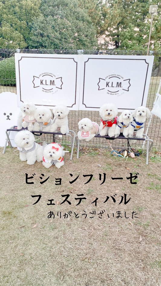 ビションフリーゼフェスティバル　ありがとうございました！