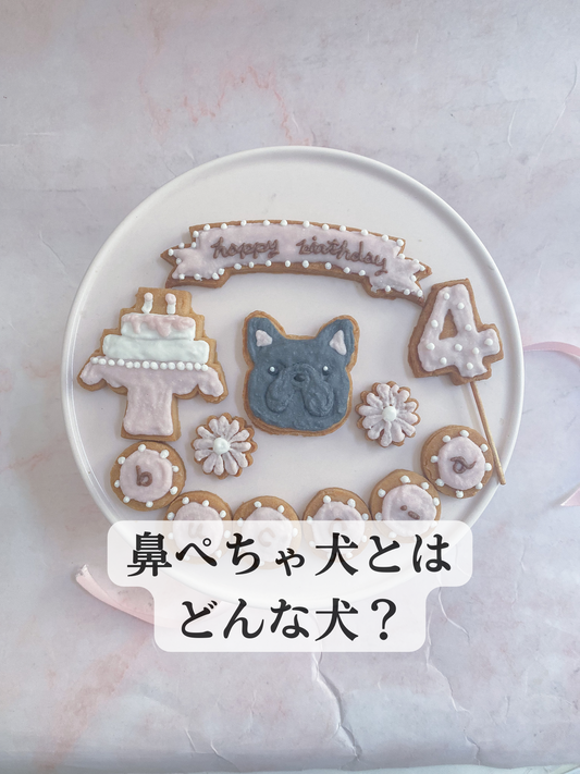 鼻ぺちゃ犬とは？
