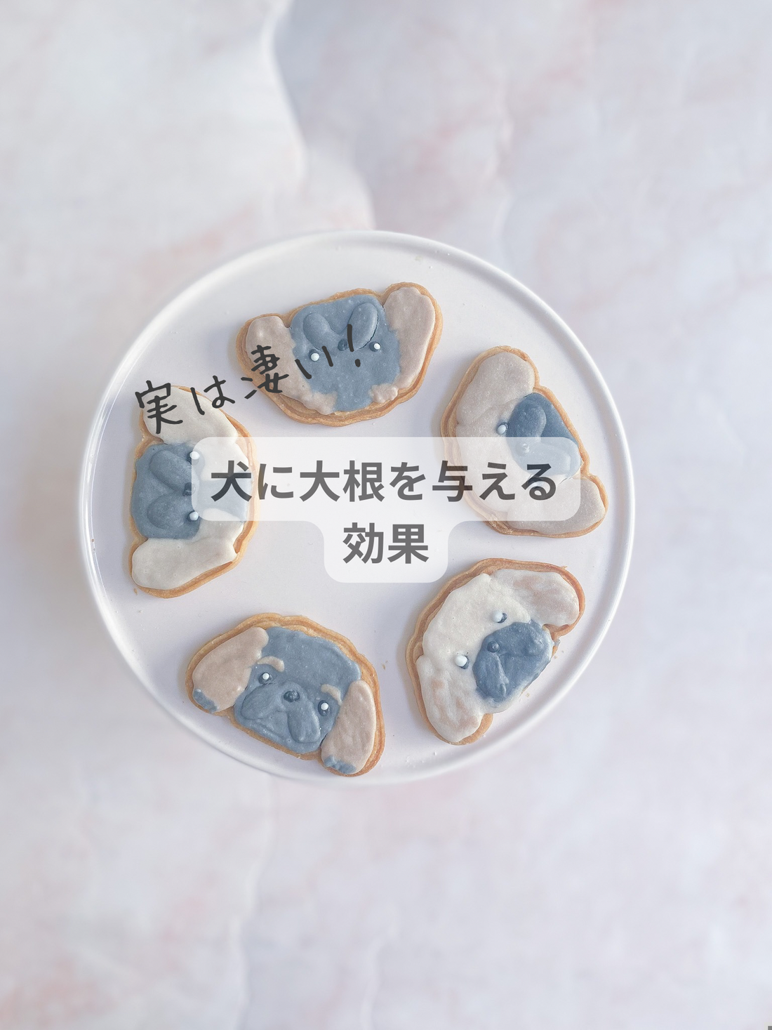 実は凄い！犬に大根