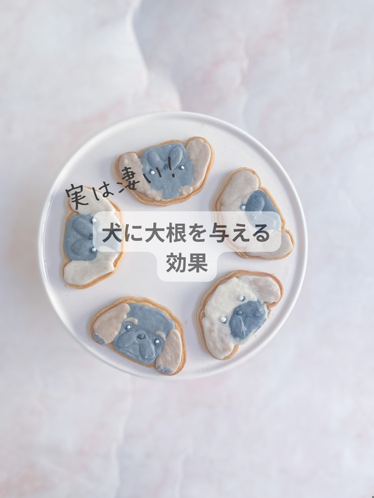 実は凄い！犬に大根