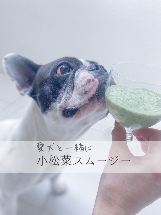 愛犬と一緒に飲める小松菜スムージーの作り方