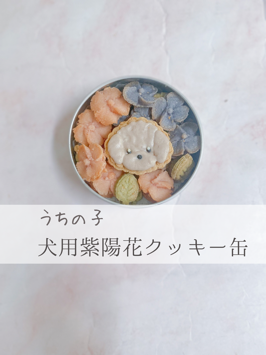 うちの子犬用クッキー缶　紫陽花
