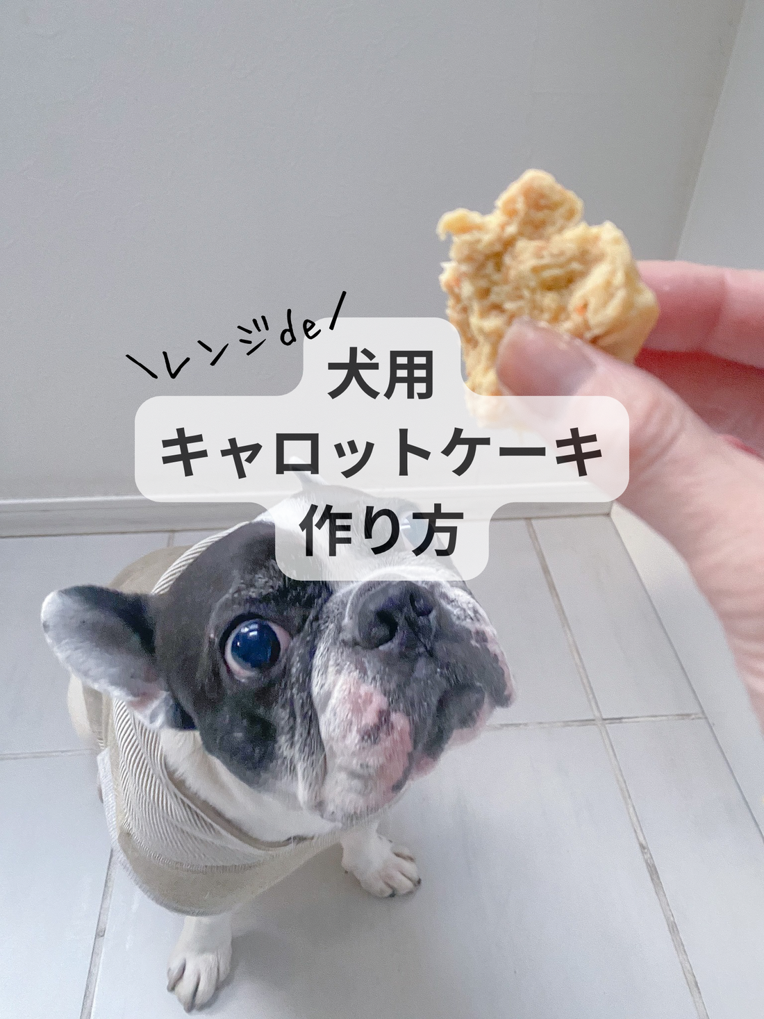 レンジde犬用キャロットケーキの作り方