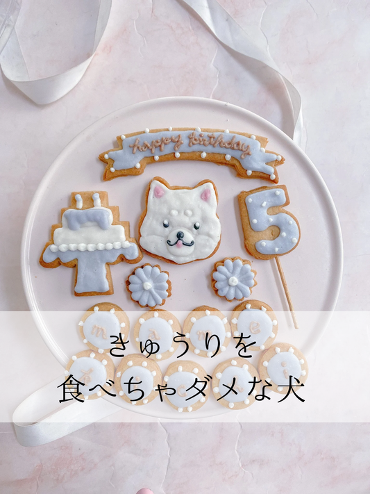 きゅうりを食べちゃいけない犬とは？