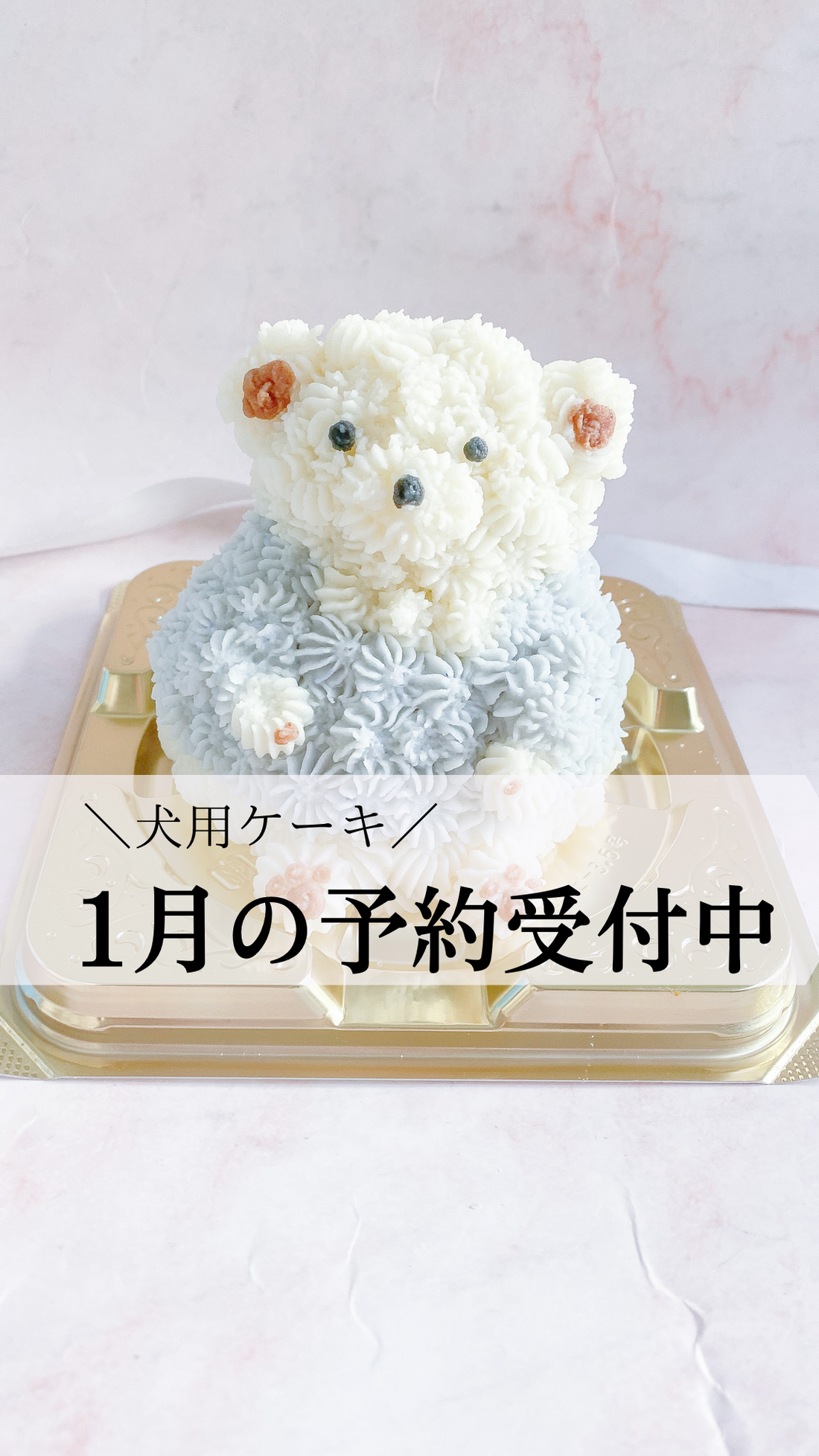 1月のご予約受付中です