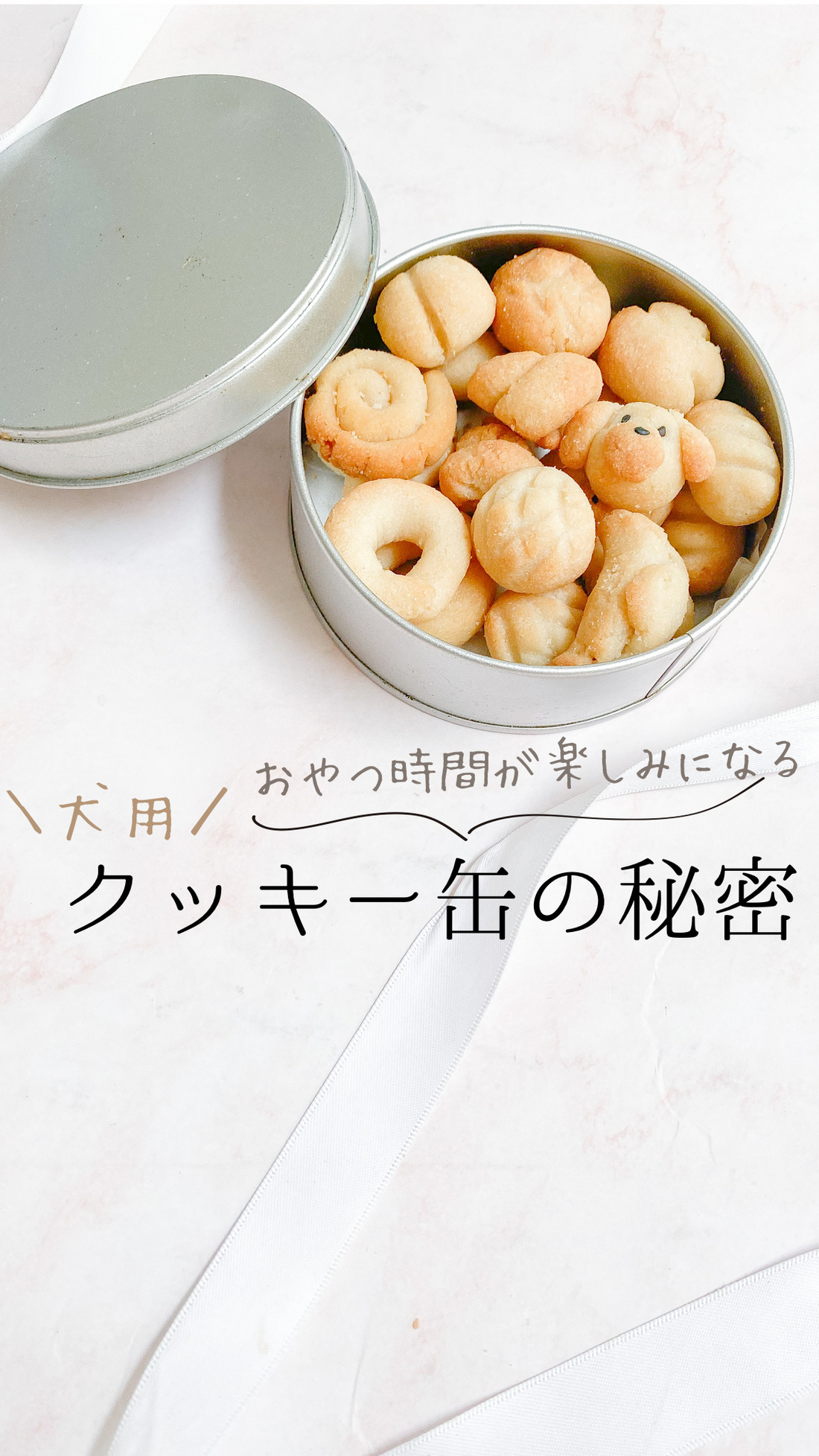 おやつ時間が楽しみになる犬用クッキー缶