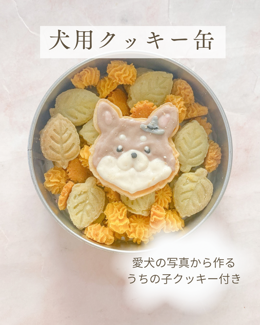 あなたの推し犬種は？