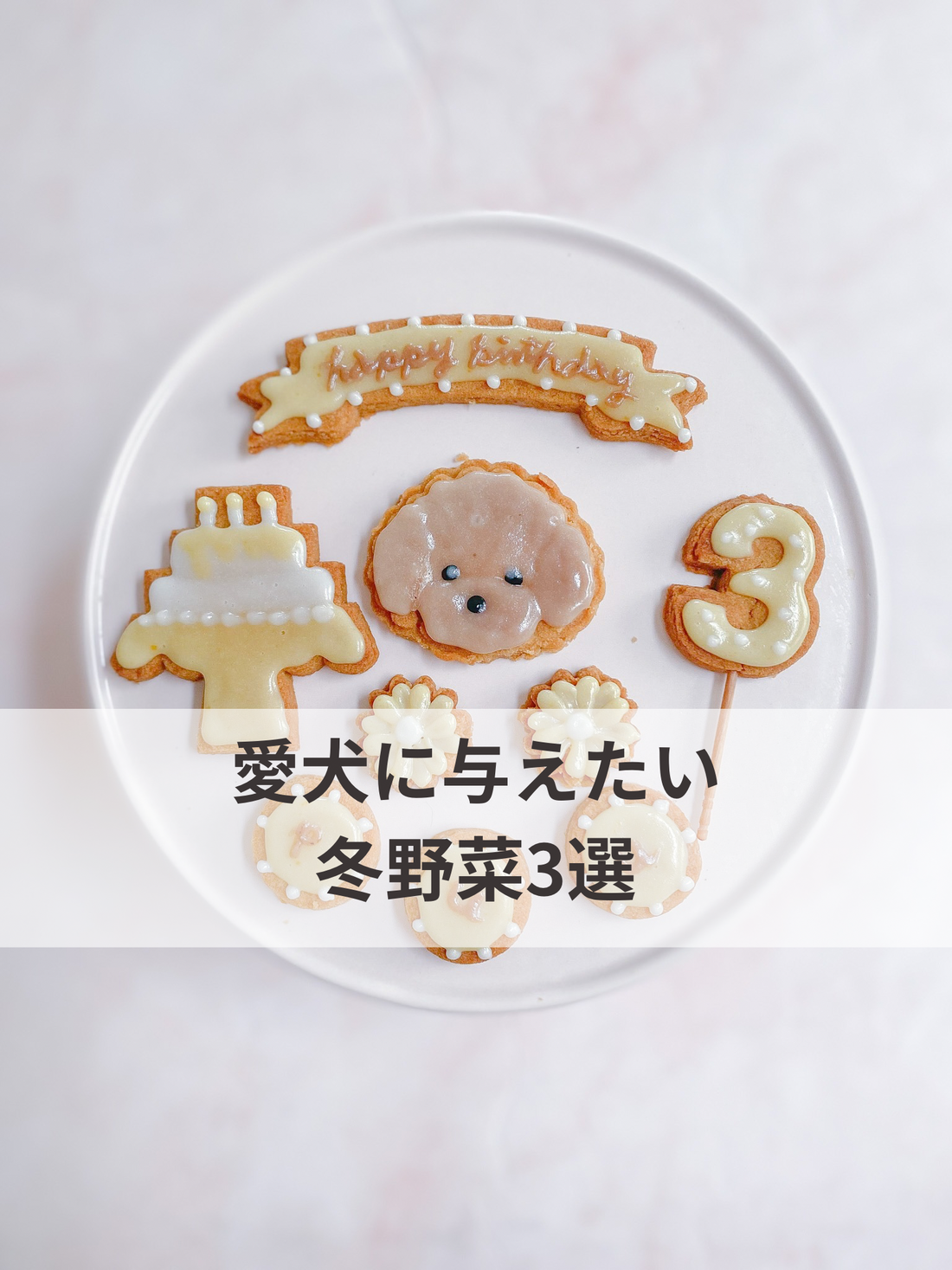 犬に与えたい冬野菜3選