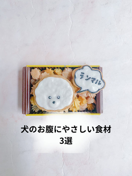 犬のお腹にやさしい食材3選