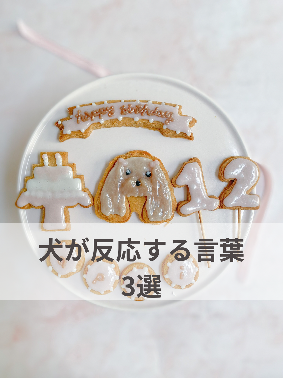 犬が反応する言葉3選