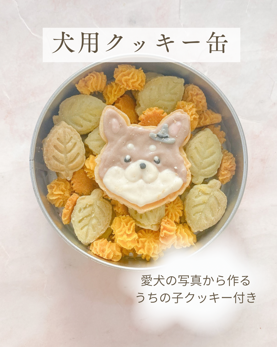 犬用うちの子ミモザクッキー缶