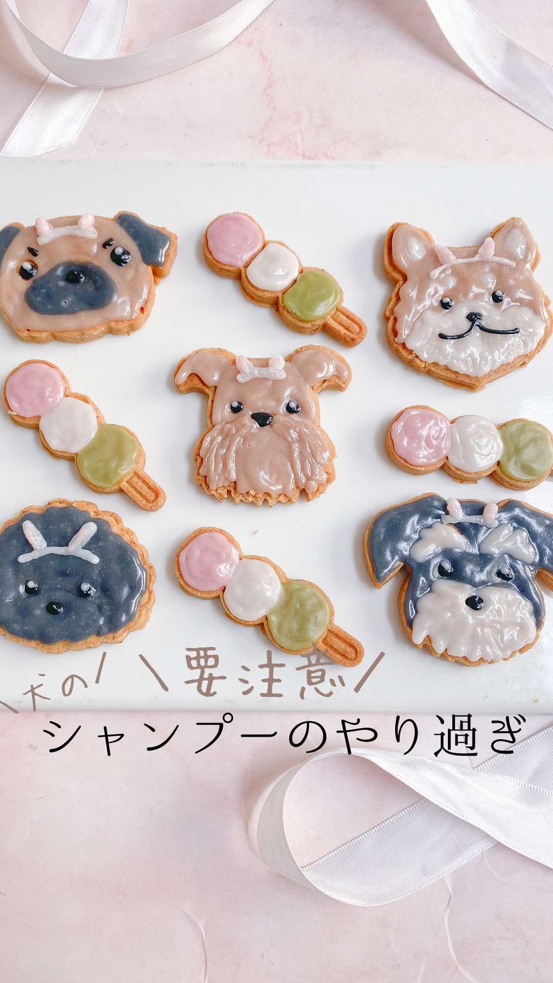 要注意　犬のシャンプーのし過ぎ