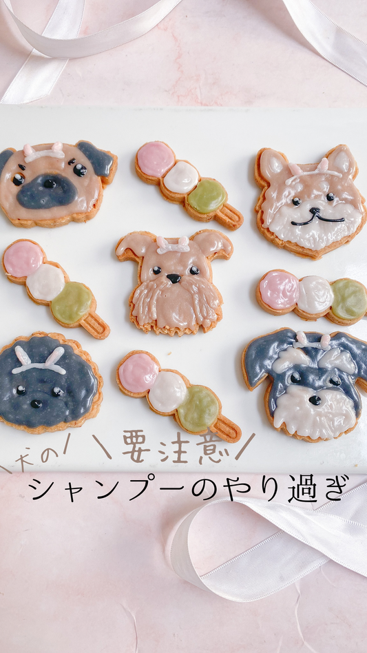 要注意　犬のシャンプーのし過ぎ