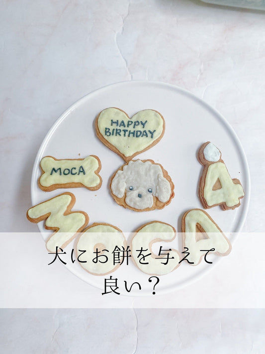 犬にお餅をあげていいの？
