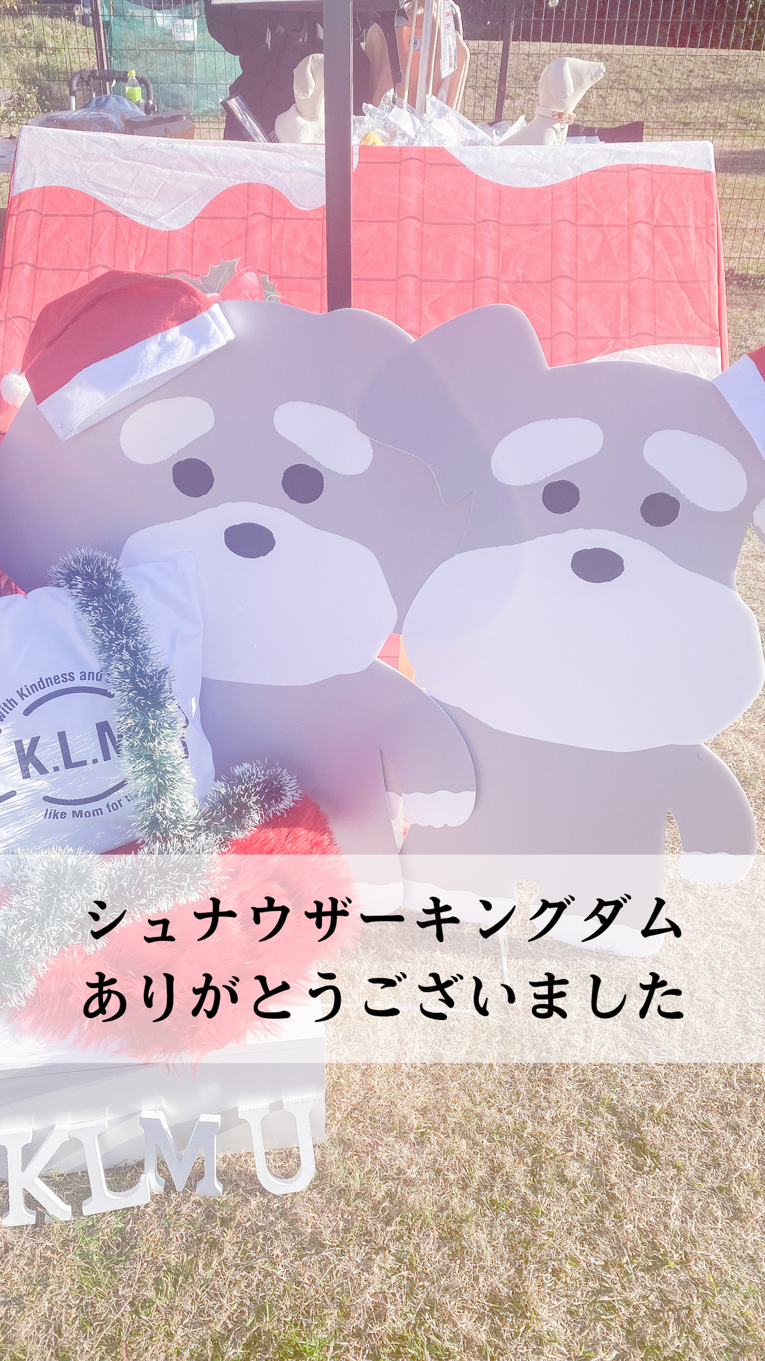 シュナウザーキングダムありがとうございました！