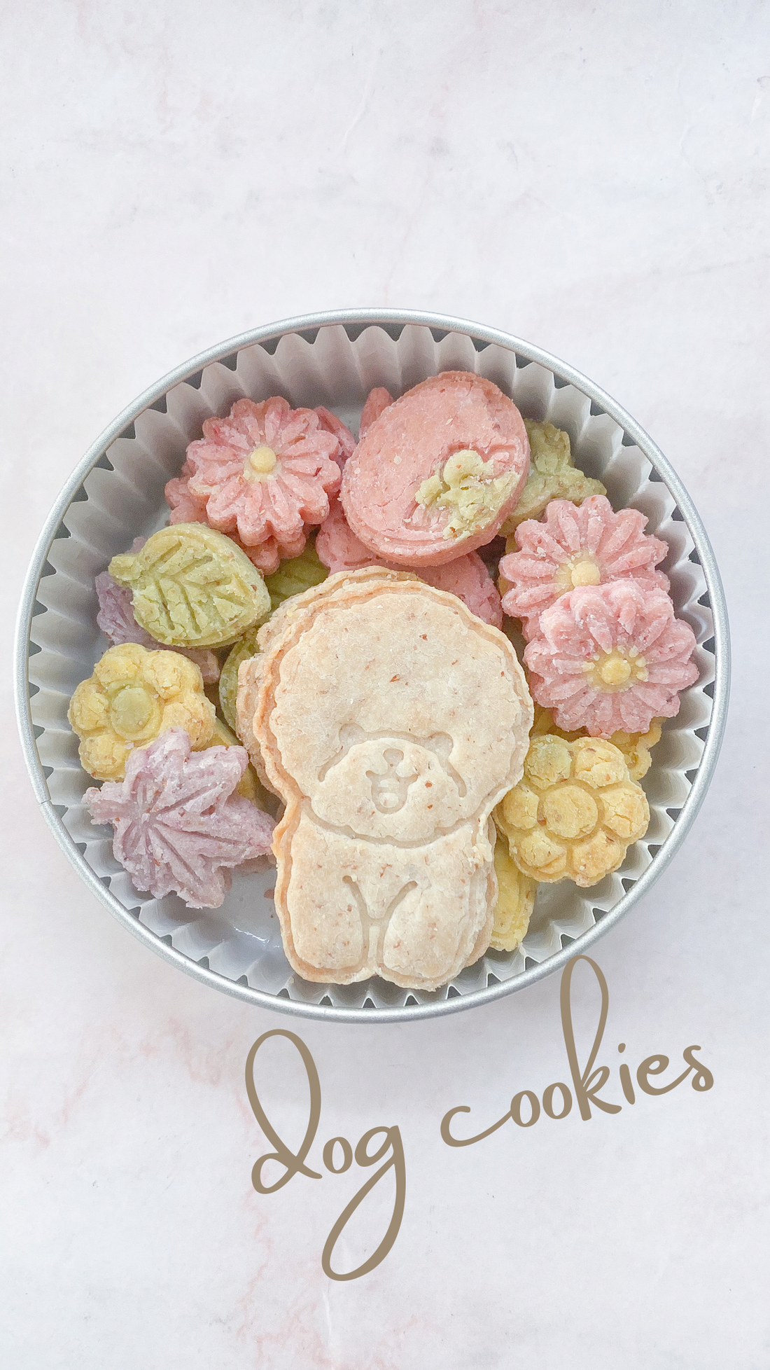 9月限定　犬のお月見クッキー缶