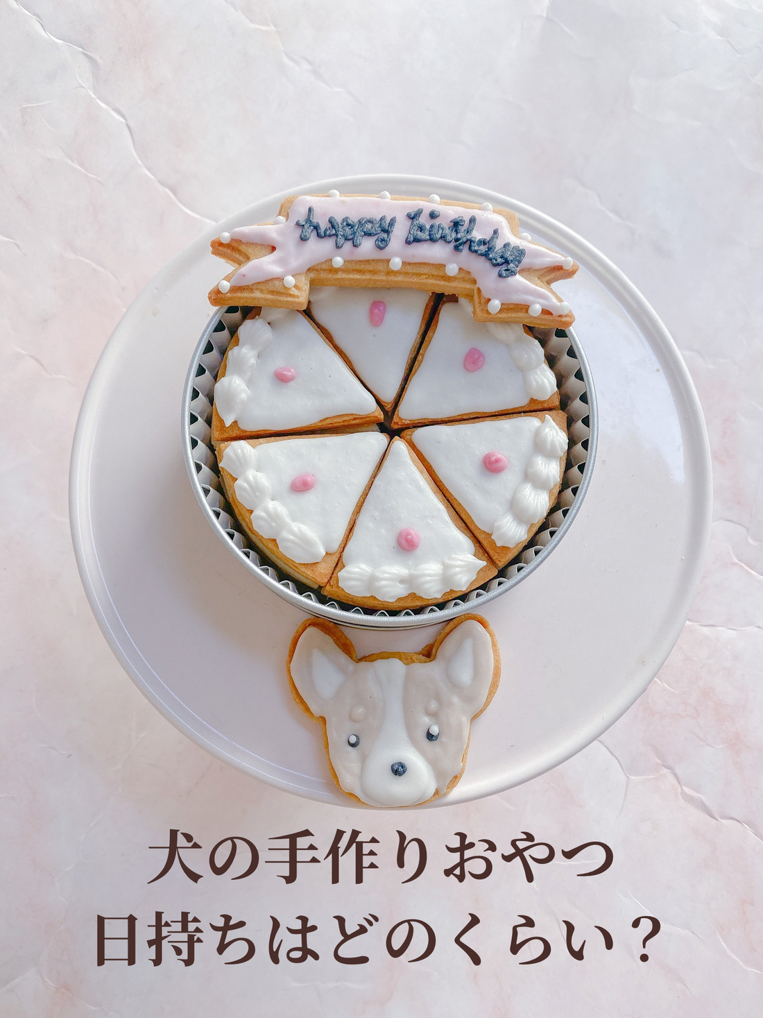 犬の手作りおやつって、どのくらい日持ちする？