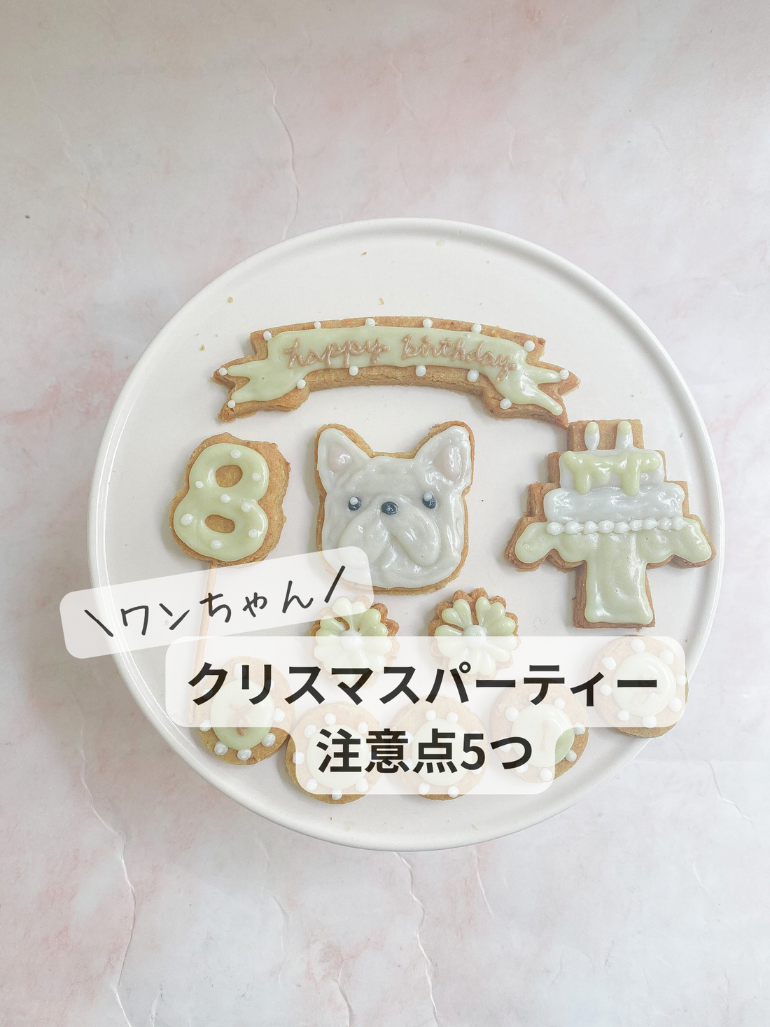 犬とクリスマス会で気をつけたい事