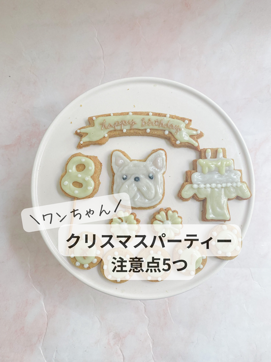 犬とクリスマス会で気をつけたい事