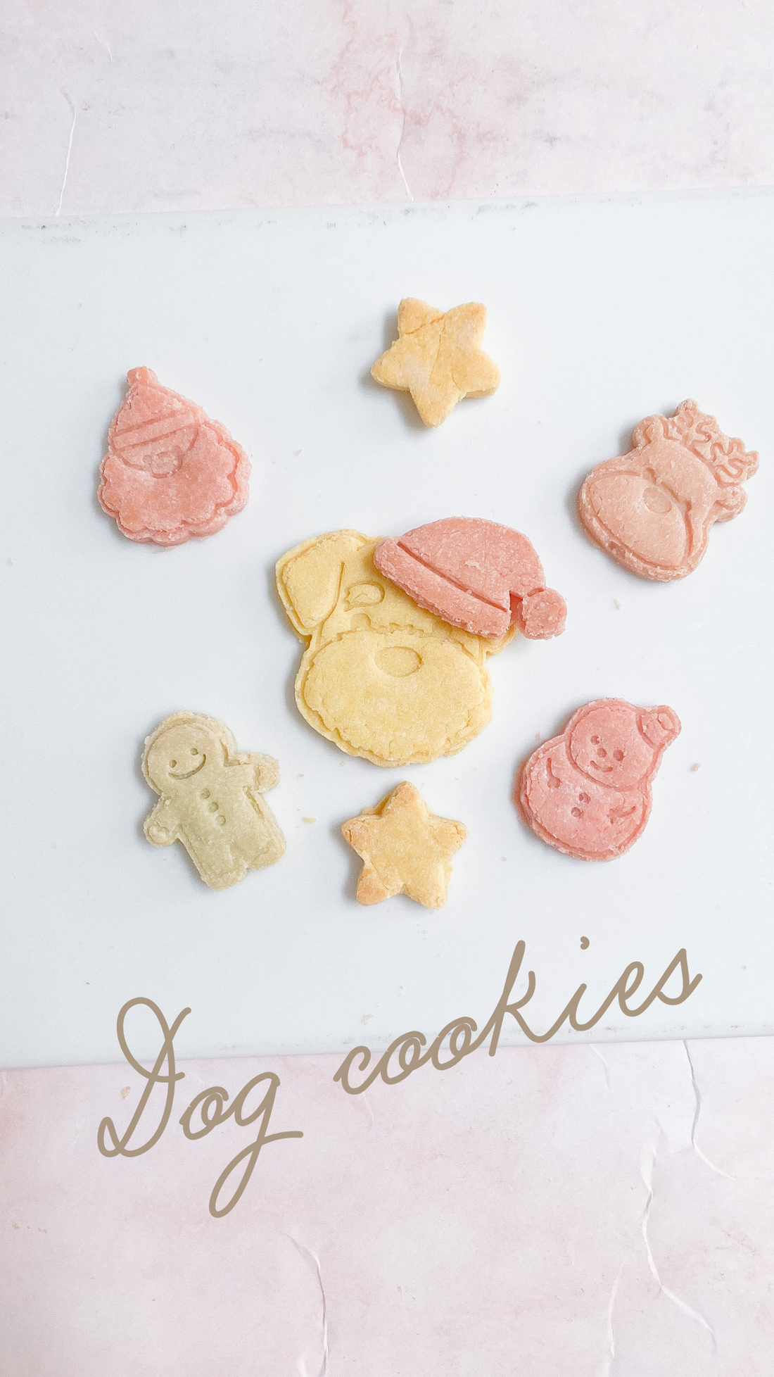 dog cookie
