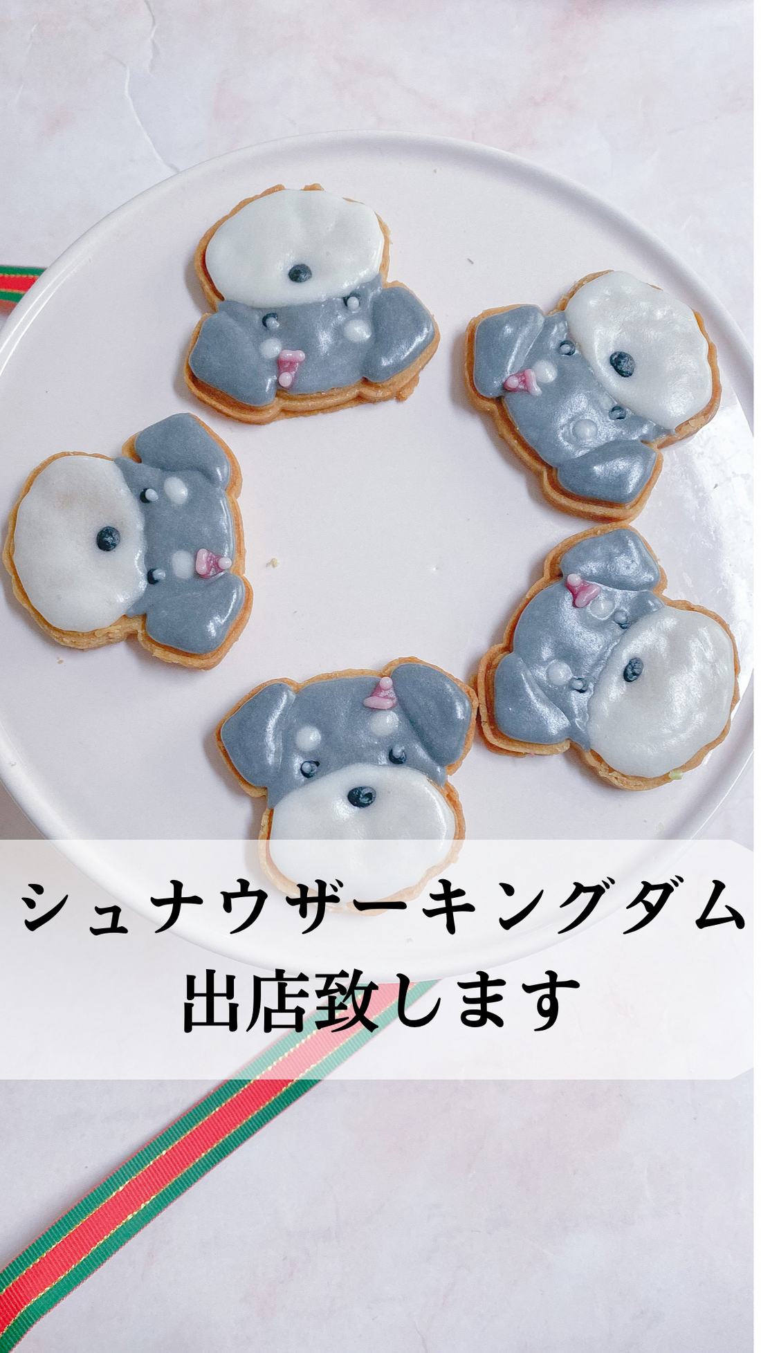 シュナウザーキングダム出店致します