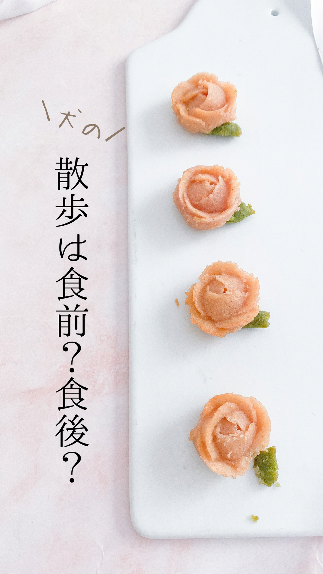 犬の散歩は食前？食後？