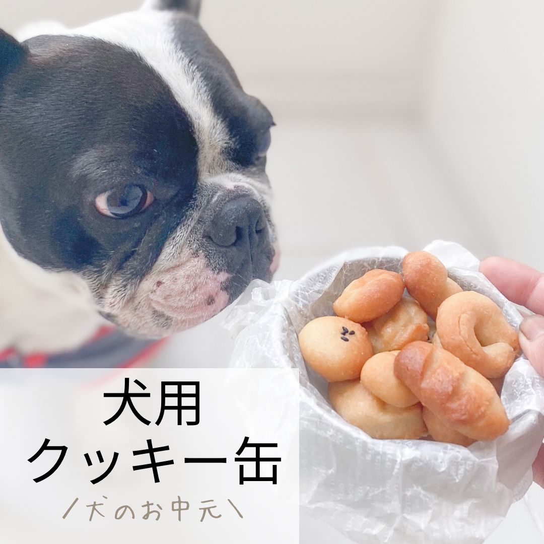 犬用クッキー缶　発売