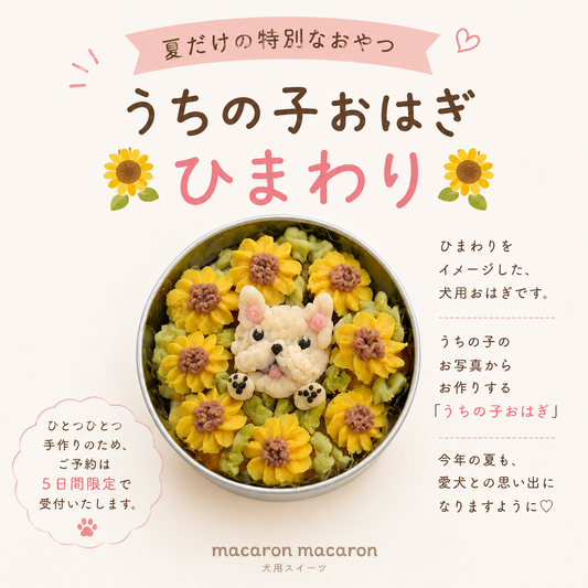 うちの子おはぎ　ひまわり