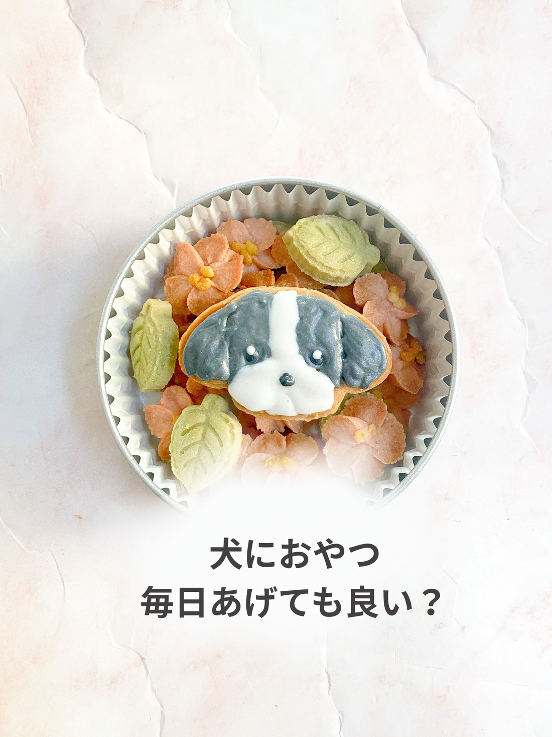 犬におやつ、毎日でも大丈夫⁈