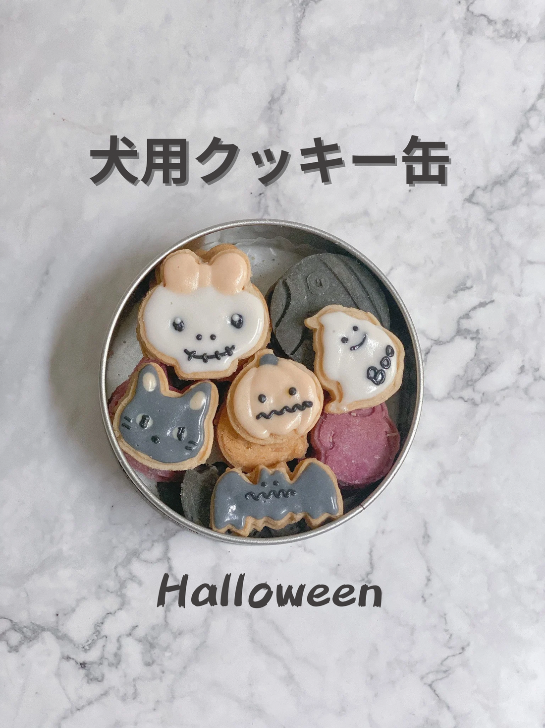 犬用クッキー缶ハロウィン
