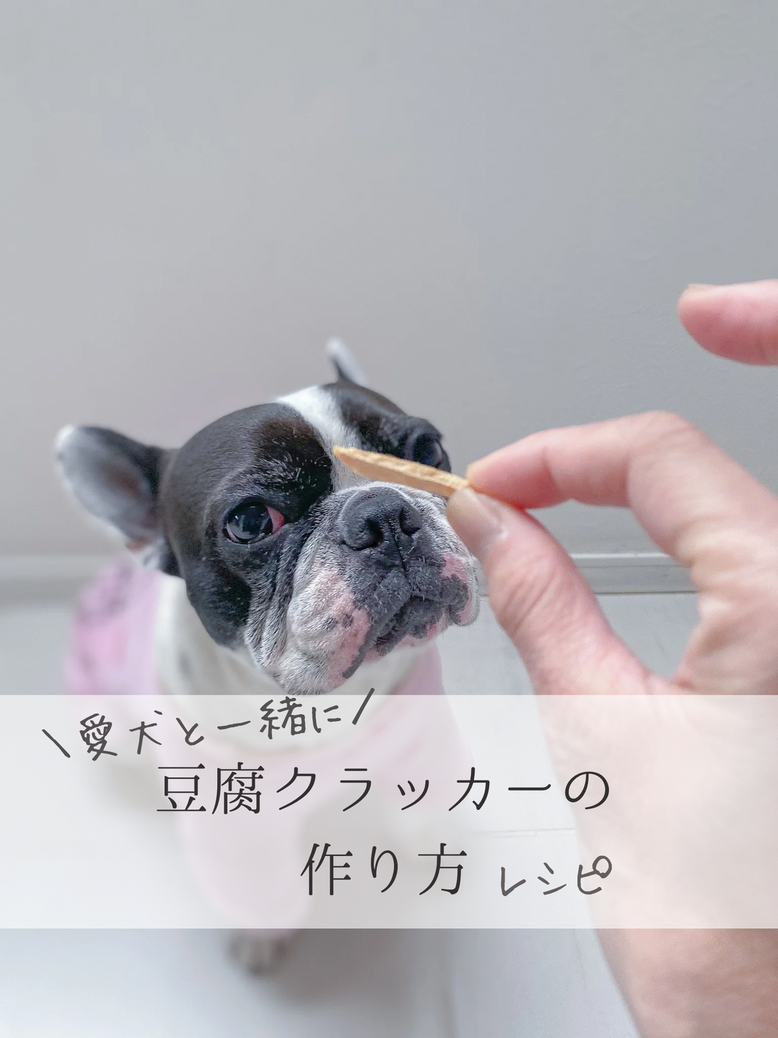 愛犬と一緒に食べられる「豆腐クラッカーの作り方」