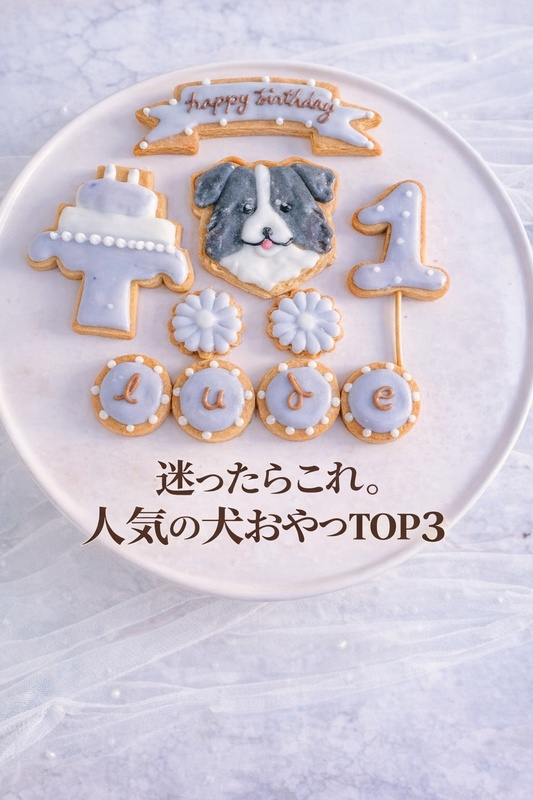 迷ったらこれ！人気の犬おやつTOP3