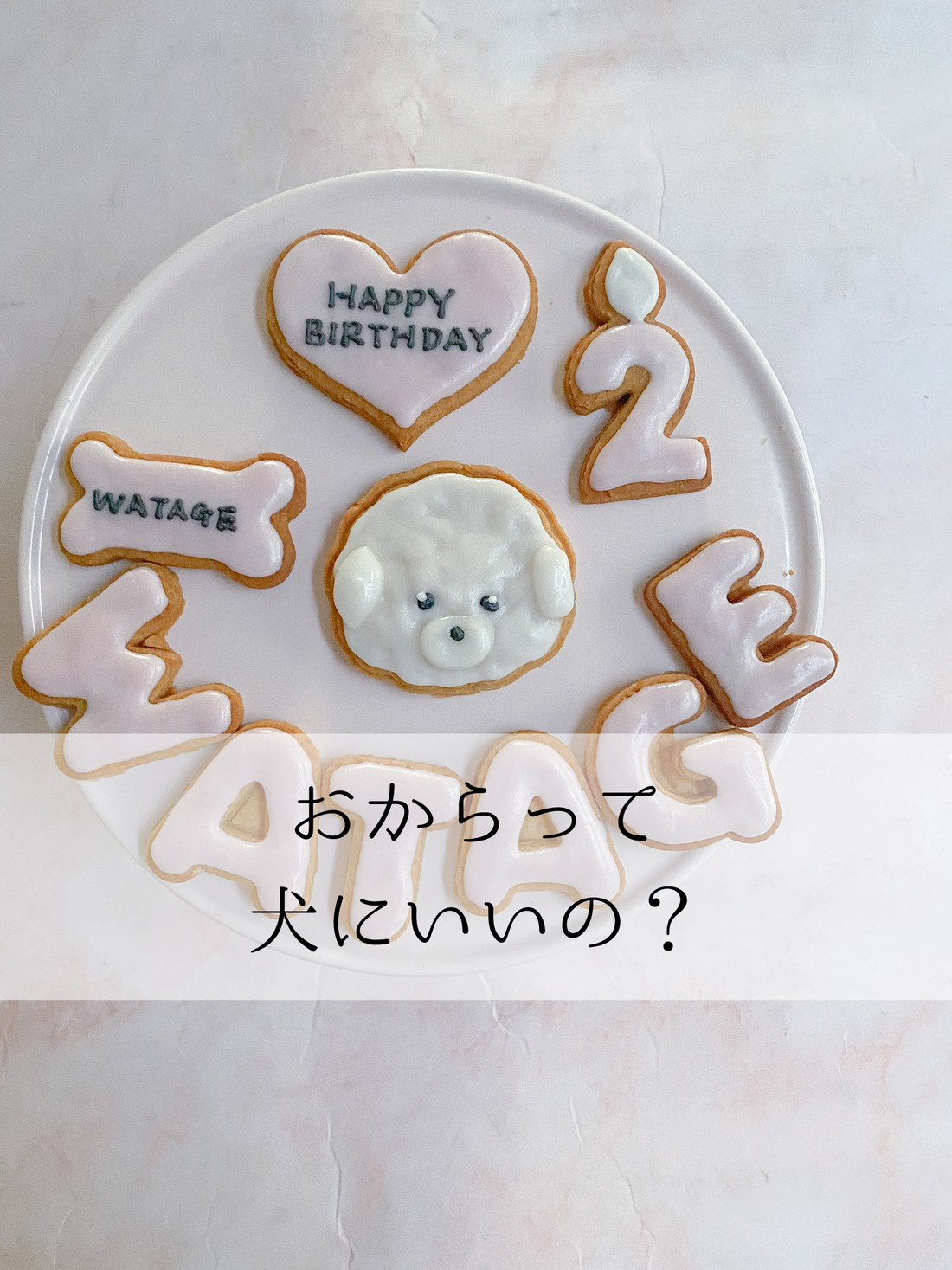 おからって犬にいいの？