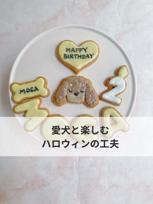 お家ハロウィンを愛犬と楽しむ方法
