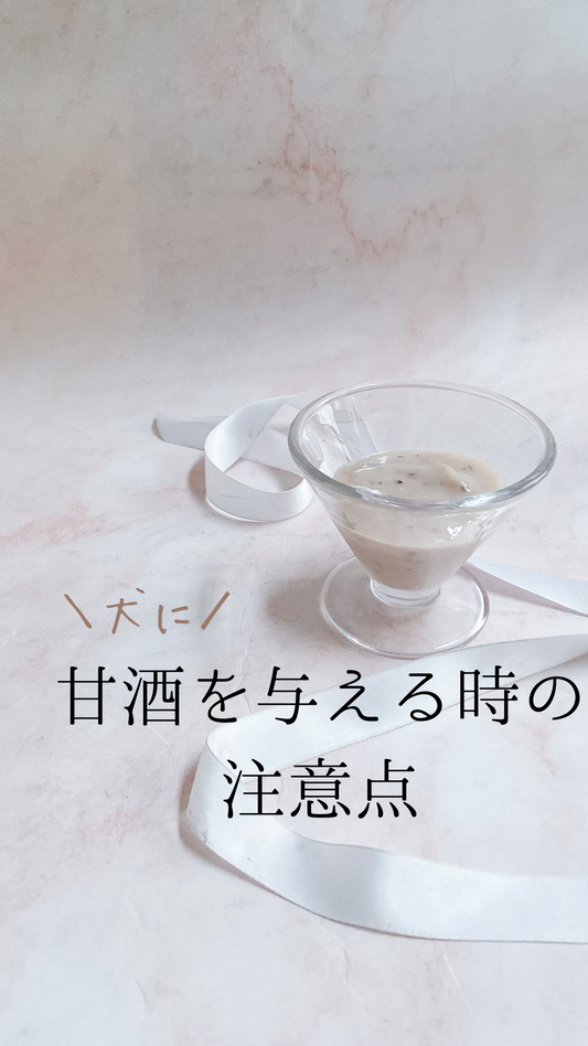 犬に甘酒を与える時の注意点